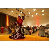 Erlebnisdinner Ingolstadt – Frau tanzt