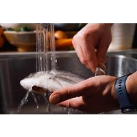 Fisch-Kochkurs Nürnberg – Fisch waschen