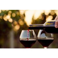 Weinseminar Nürnberg - Rotweingenuss