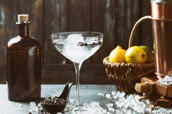 Gin-Tasting München: Ohne Gin wenig Sinn