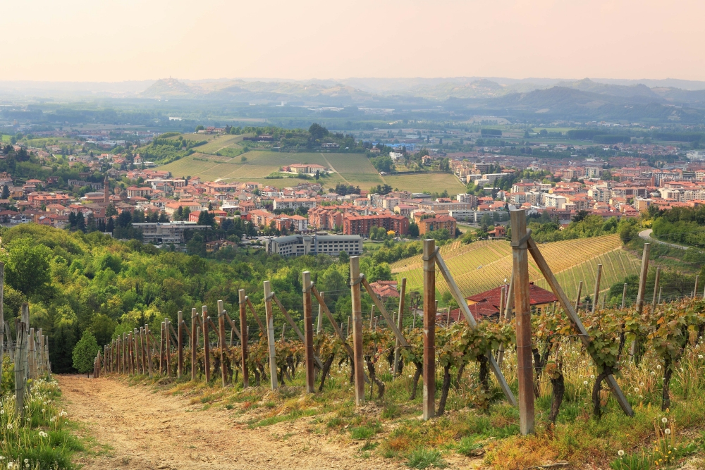 Virtuelle Reise: Große Genussreise ins Piemont@Home für 2-4